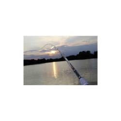 Lanseta Browning Argon 2.0 Feeder HD 4.20m 200gr