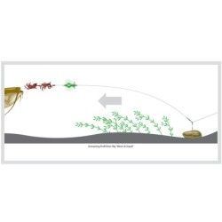 Rig Somn Madcat 10/0+10/0 Screaming Profi River Rig Worm and Squid 180cm 1.00m