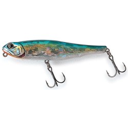 Vobler Owner Tango Dancer...