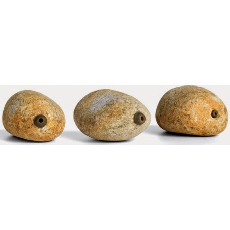 Piatra Pallatrax In-Line Stonze Mediu 50 Gr